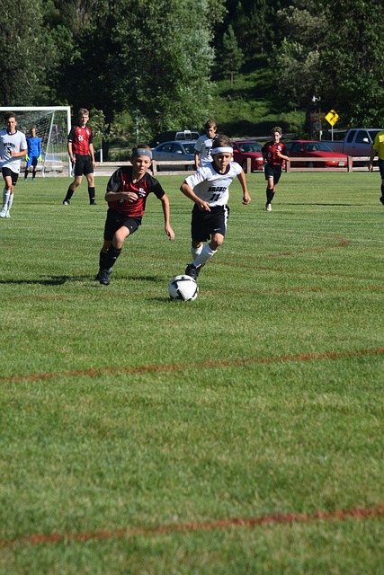 通过引入 通过引入