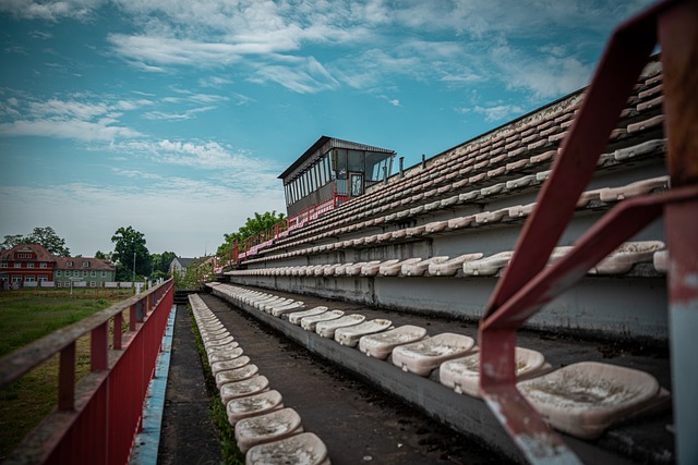 心的凯文 心的凯文