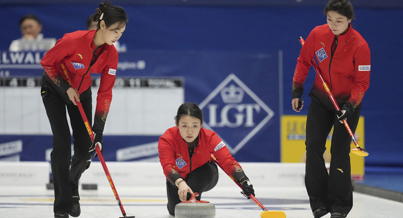 期待看到这 期待看到这