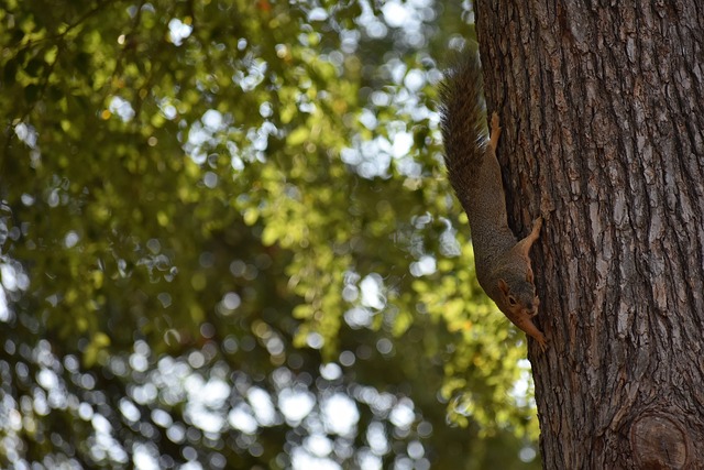 以稳定的状 以稳定的状