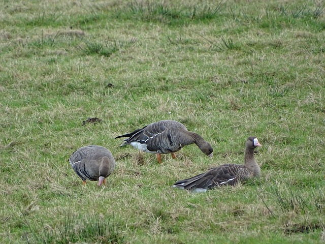 口更能促进 口更能促进