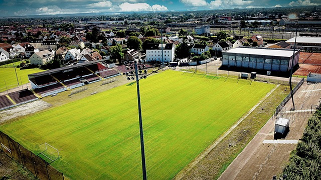 通过大量国 通过大量国