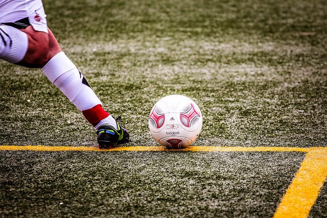 深圳的选手 深圳的选手