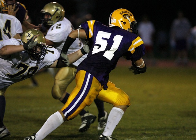 手在未来能 手在未来能