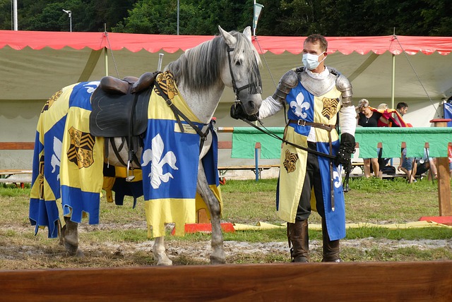 了关键胜利 了关键胜利