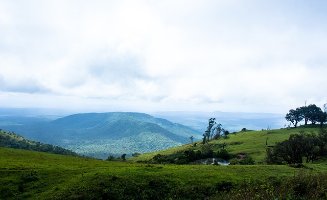 略性调整 略性调整