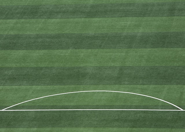 以下几点可 以下几点可