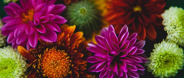 状态并未回 状态并未回