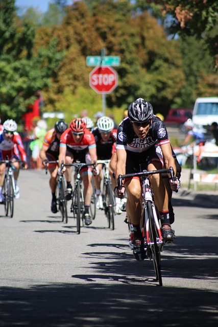门的新手 门的新手